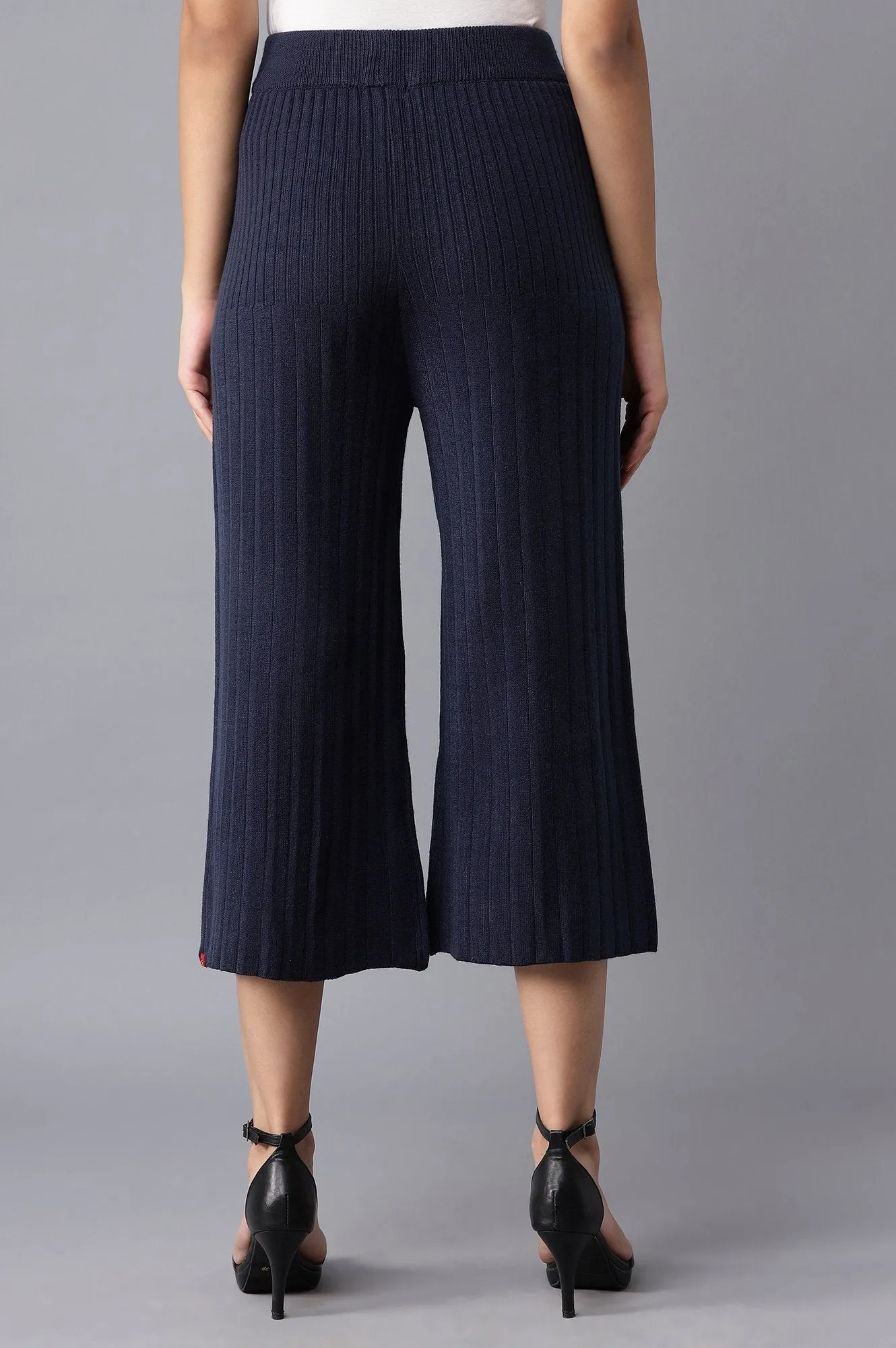 Dark Blue Pleated Parallel Pants