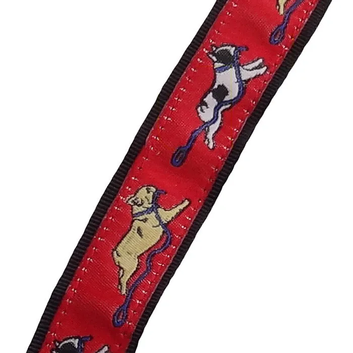 French Bulldog "Frenchie" Dog Collar or Leash