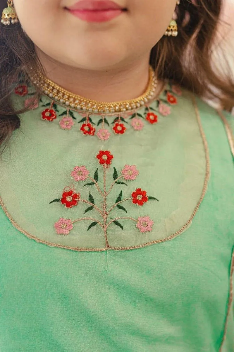 Hummingbirds - Embroidered Anarkali 3 Piece