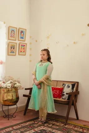 Hummingbirds - Embroidered Anarkali 3 Piece