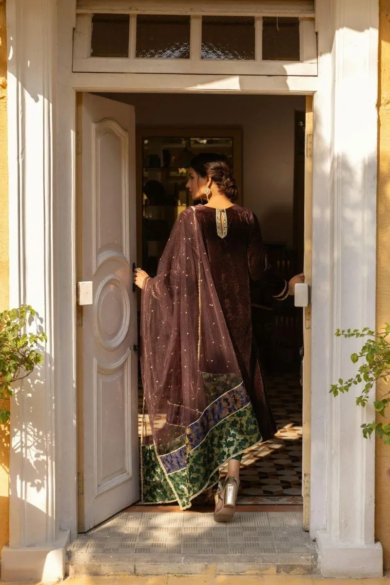 Insia Sohail - Reem - Brown - 3 Piece - Velvet