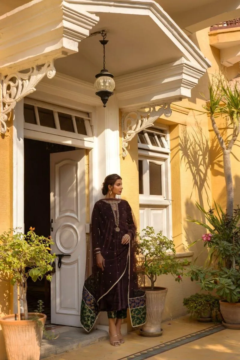 Insia Sohail - Reem - Brown - 3 Piece - Velvet