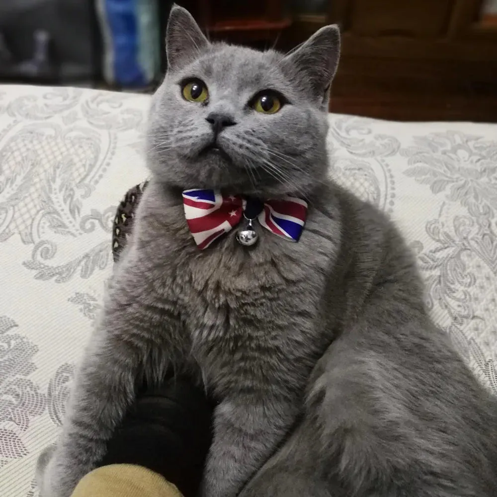 Leopard Print Bowtie Breakaway Cat Collar