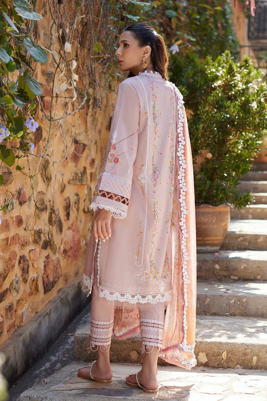 Luxury Lawn 24 - Peach Blossom