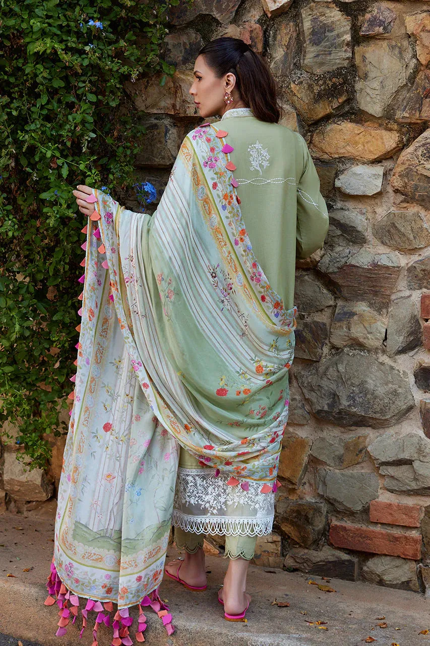Luxury Lawn 24 - Sage Serenity