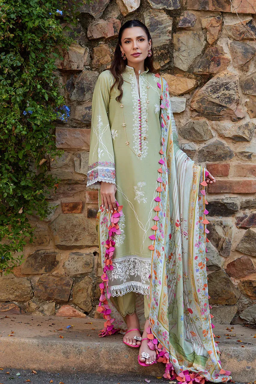 Luxury Lawn 24 - Sage Serenity