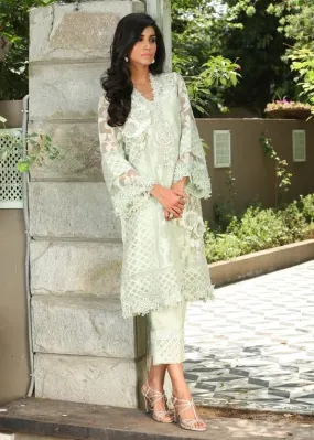 Maheen Trends - Elysian - Mint Green - 2 Piece - Organza