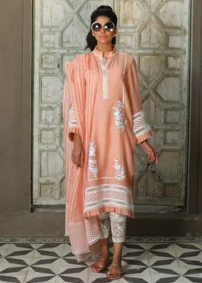 Maheen Trends - Peachy Blush - Peach & White - 3 Piece - Organza
