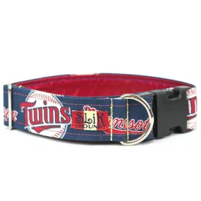 MINNESOTA TWINS THEMED