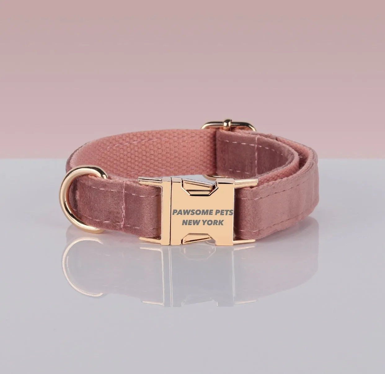 PAWSOME DOG COLLAR - #14