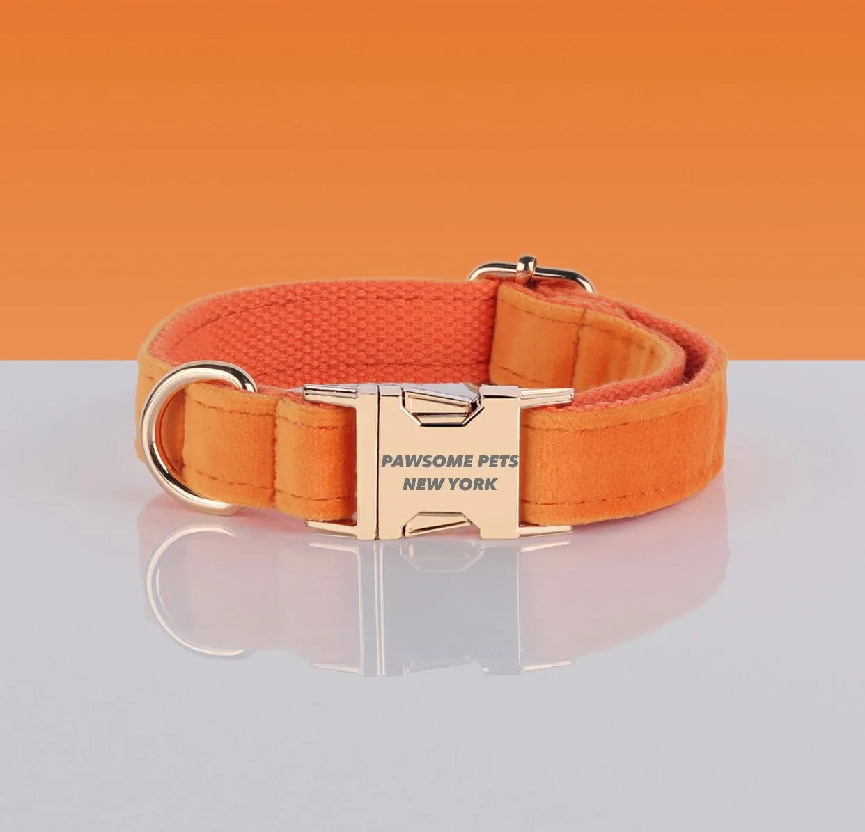 PAWSOME DOG COLLAR - #5