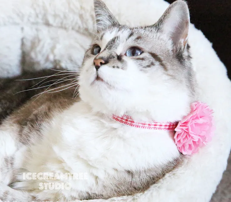 PomPom Turquoise Bloom Collar Slide On - Small Flower Collar Accessory