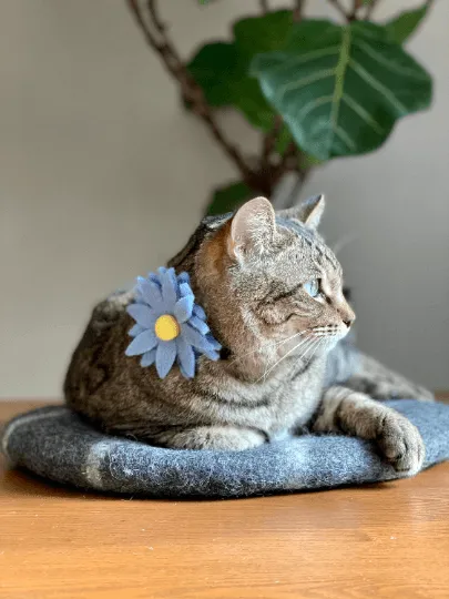 Removable Pet Collar Accessory- Felt Wool Flower-Blue/Yellow