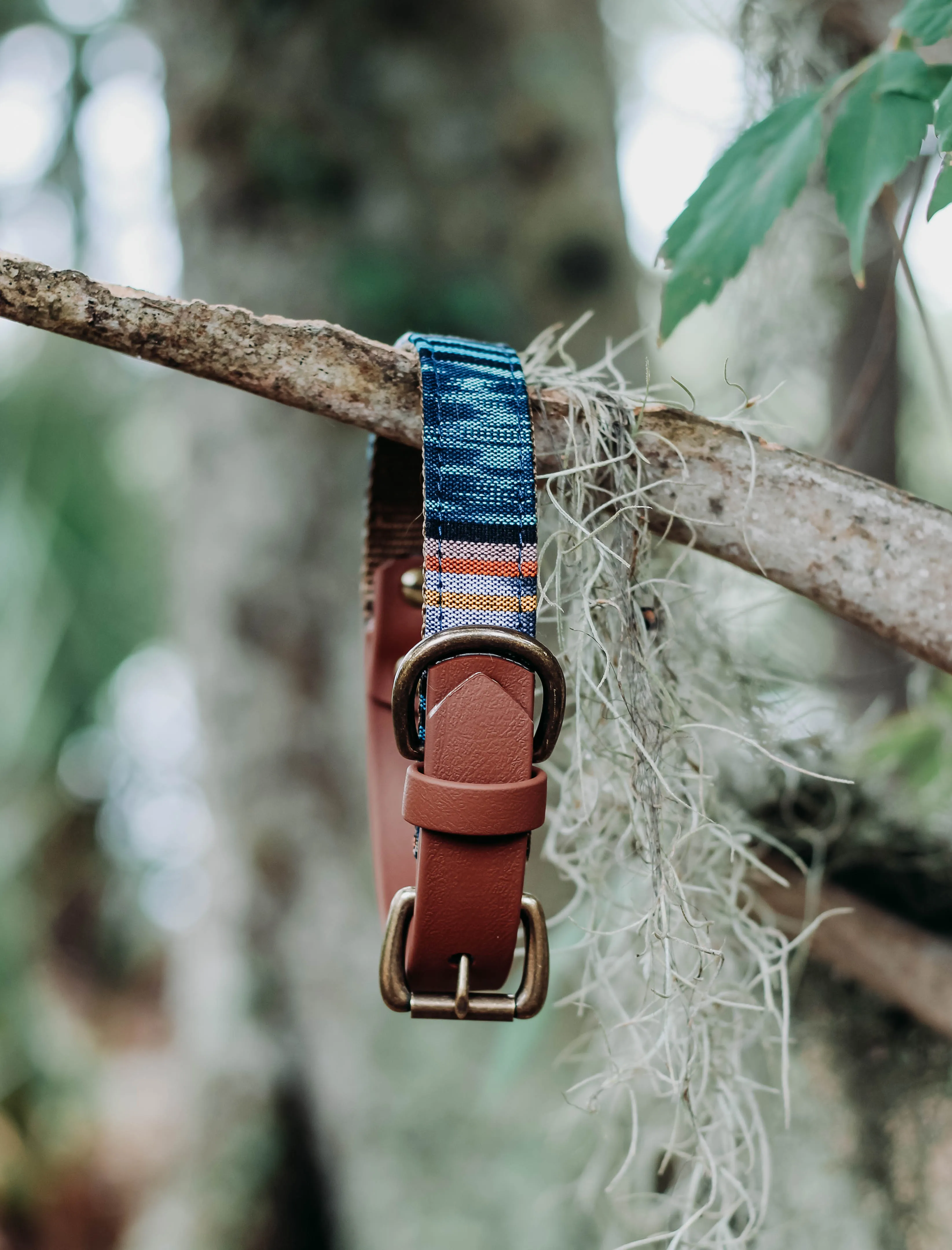 Soleil Collar