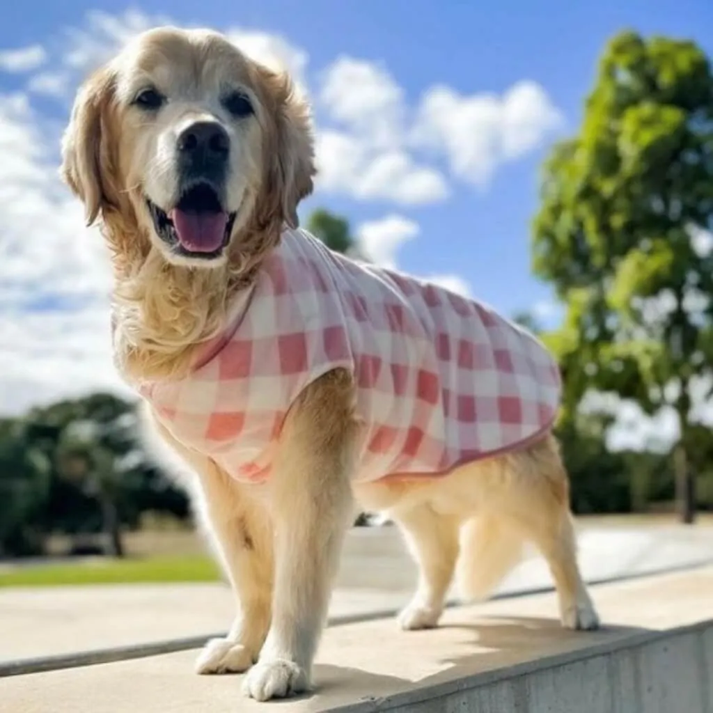 The Floofy Fleece Dog Coat | Pink Gingham